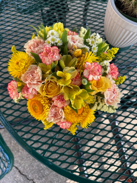 Prickly Petals Cactus Planter Arrangement