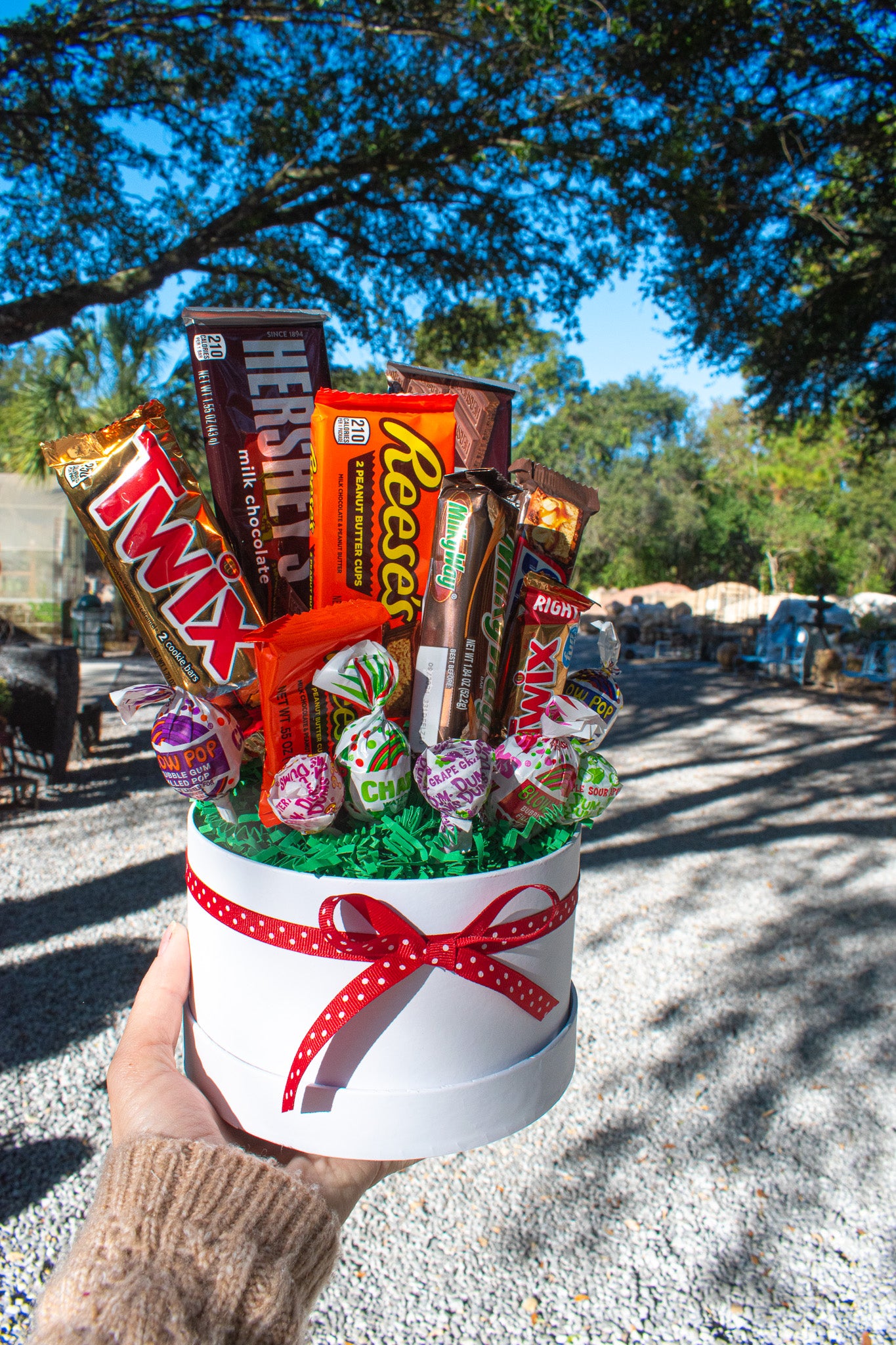 "Sweet tooth" special chocolate & candy gift box