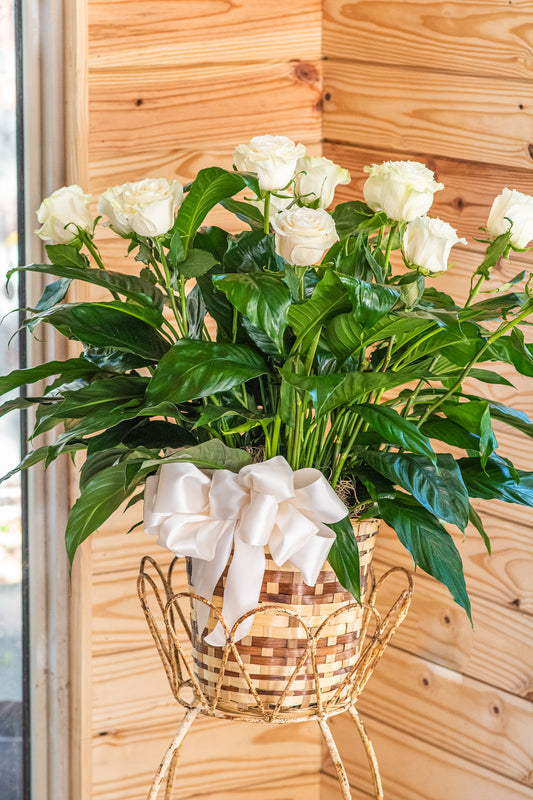 ''Ivory Memories'' special arrangement of a potted plant and roses