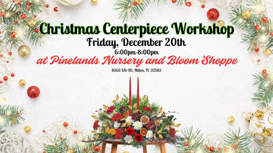 Christmas Centerpiece Class