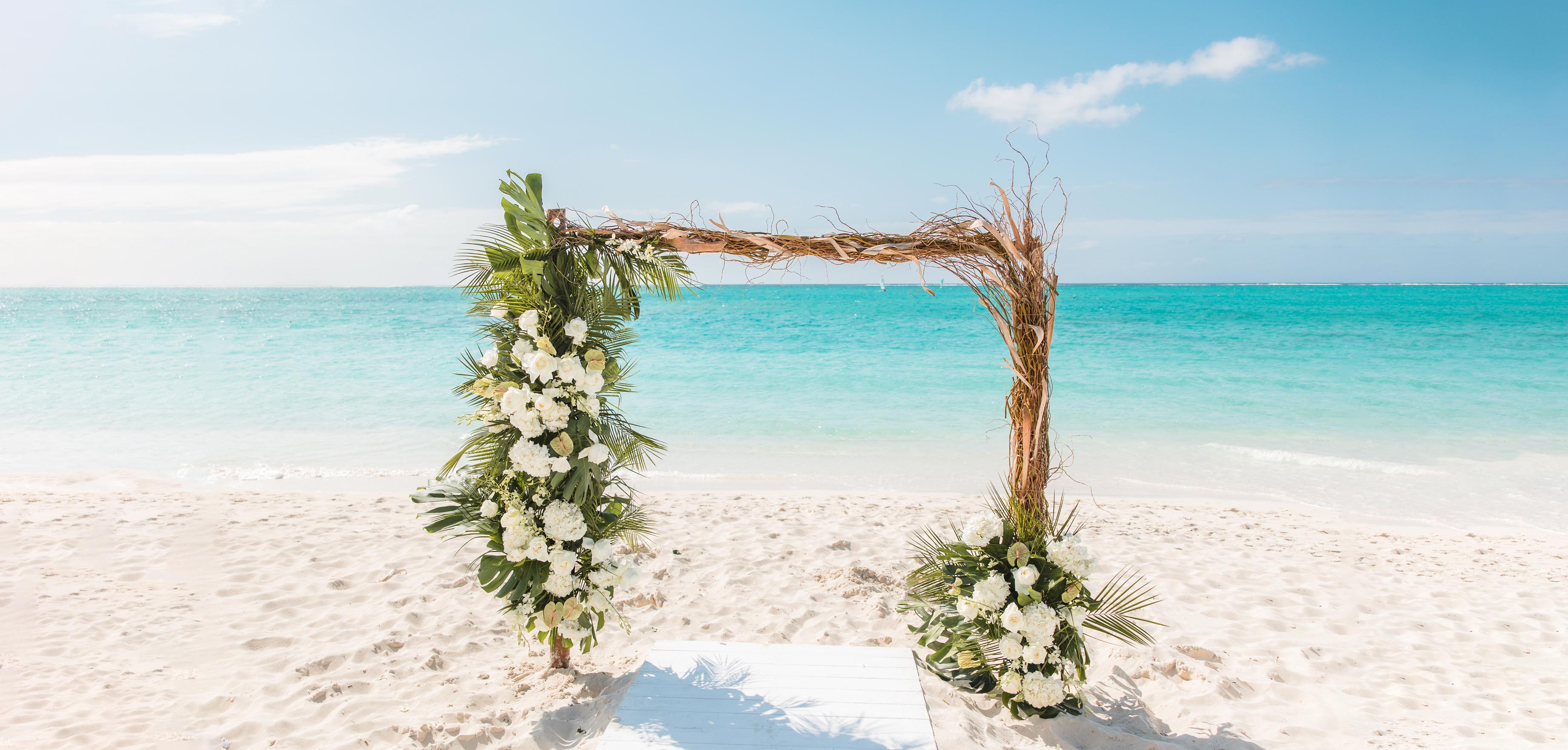 The Bloom Shoppe At Pinelands the-bloom-shoppe-at-pinelands