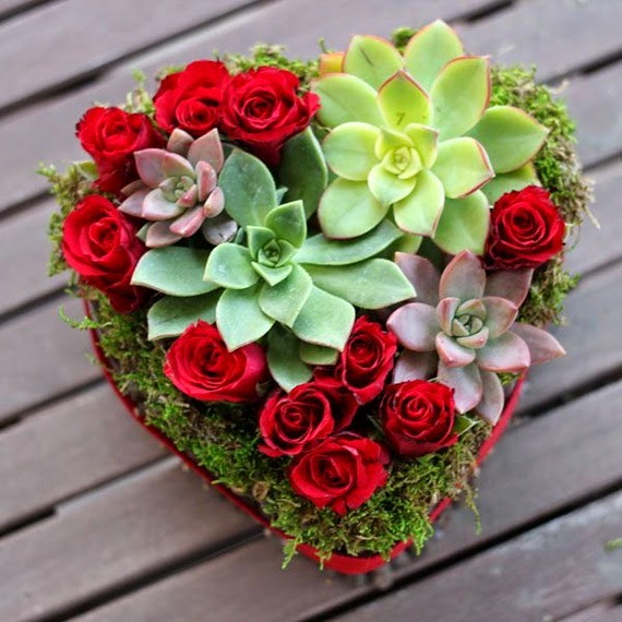 Roses and succulents heart shaped arrangement